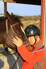 equine-assisted-therapy