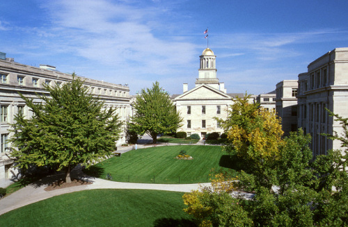 Picture of School Psychology Program at University of Iowa