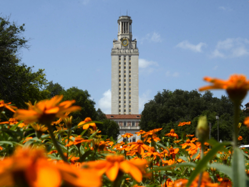 Picture of School Psychology Program at University of Texas at Austin	