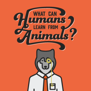 What Can Humans Learn From Animals?