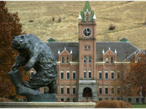 university-of-montana