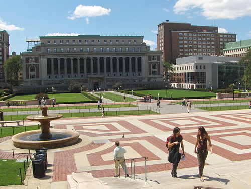 New York University