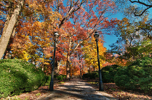 University of Pennsylvania