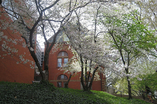 Vanderbilt University