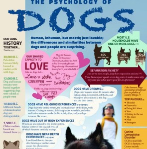 psychology of dogs