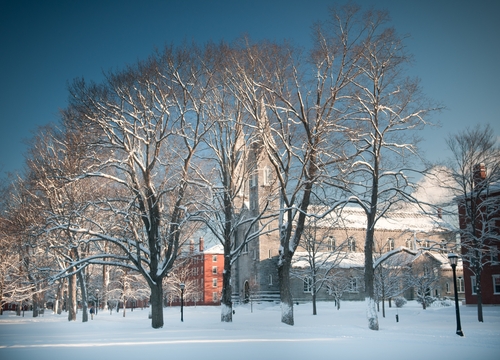 bowdoin-college-psychology-major