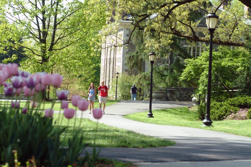 haverford-college-psychology-major