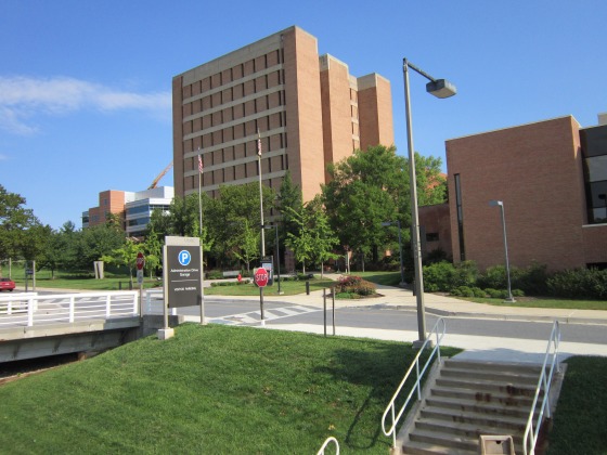 University-of-Maryland-Baltimore-county-undergraduate-psychology-east