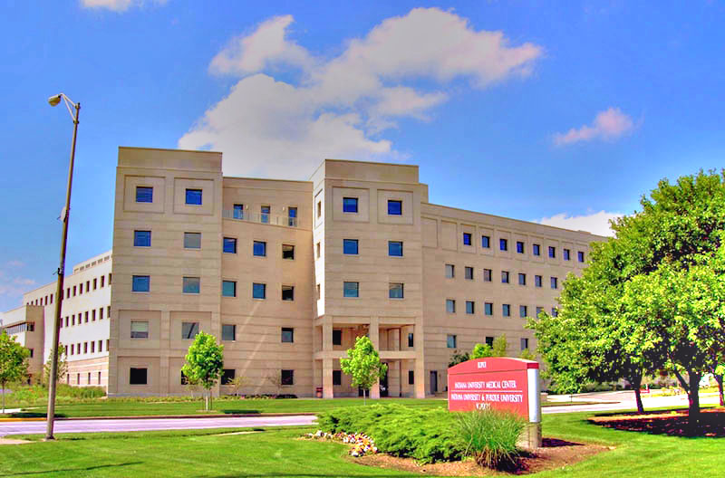 indiana-program-undergraduate-psychology-east