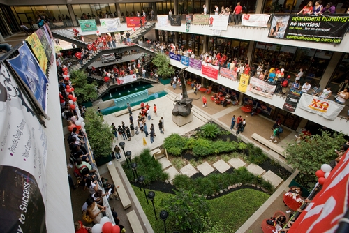 university-of-houston-undergraduate-psychology-south