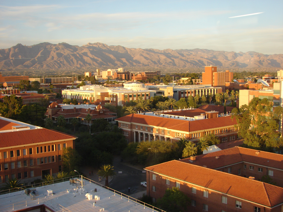 university of arizona phd in psychology