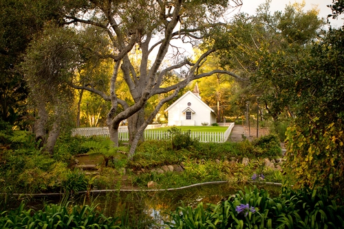westmont-college-undergraduate-psychology-west