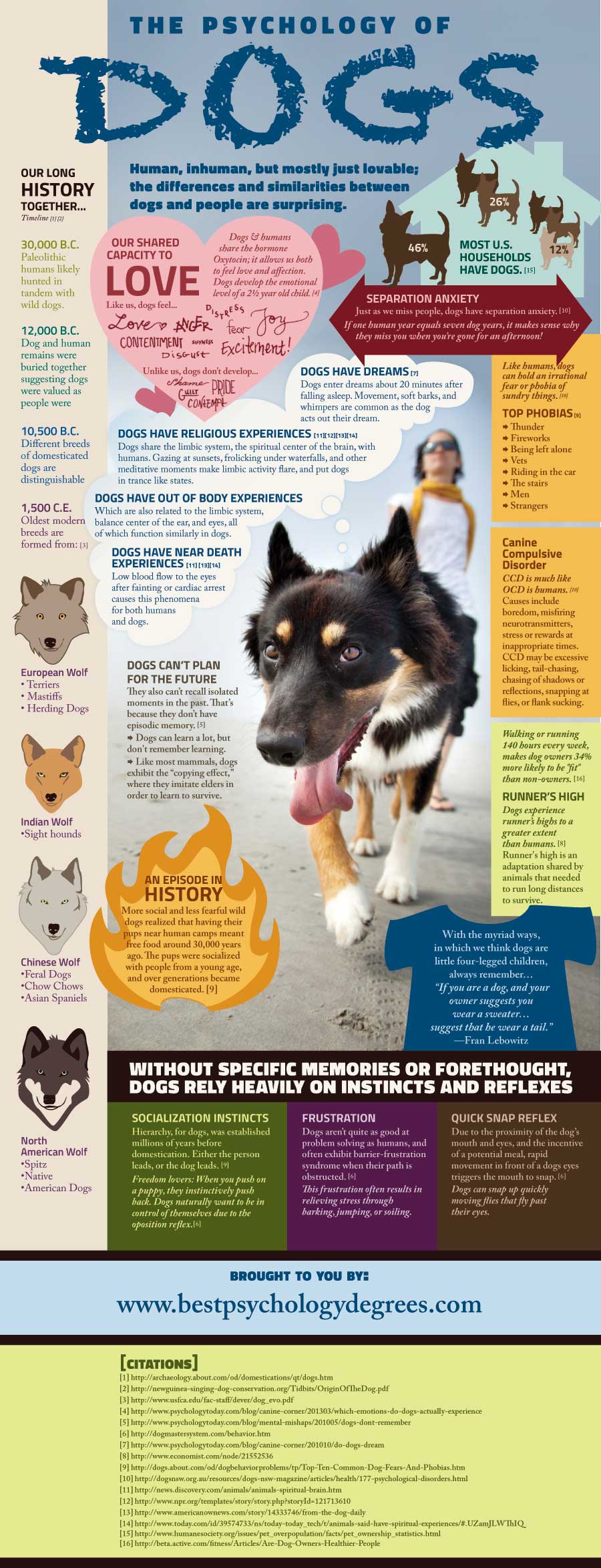 The Psychology of Dogs